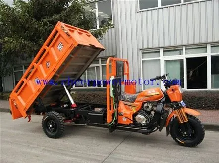 250cc Double Front Iskunvaimennin Dumper Cargo Kolmipyörä